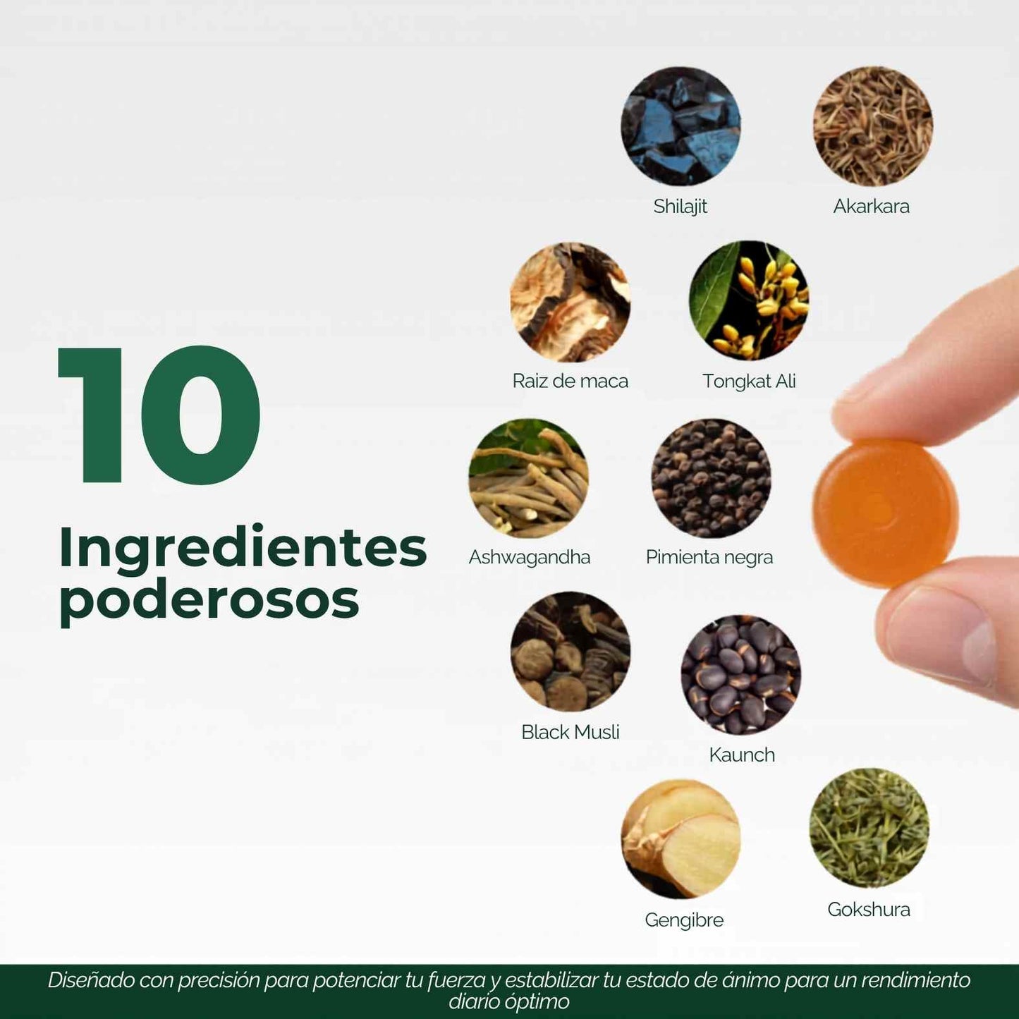 Nandora™ Gomitas 10 en 1